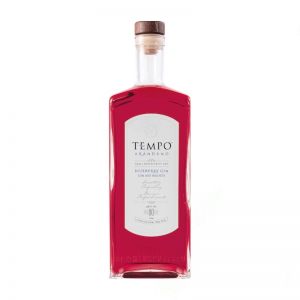 Tempo Arandano Blueberry Gin